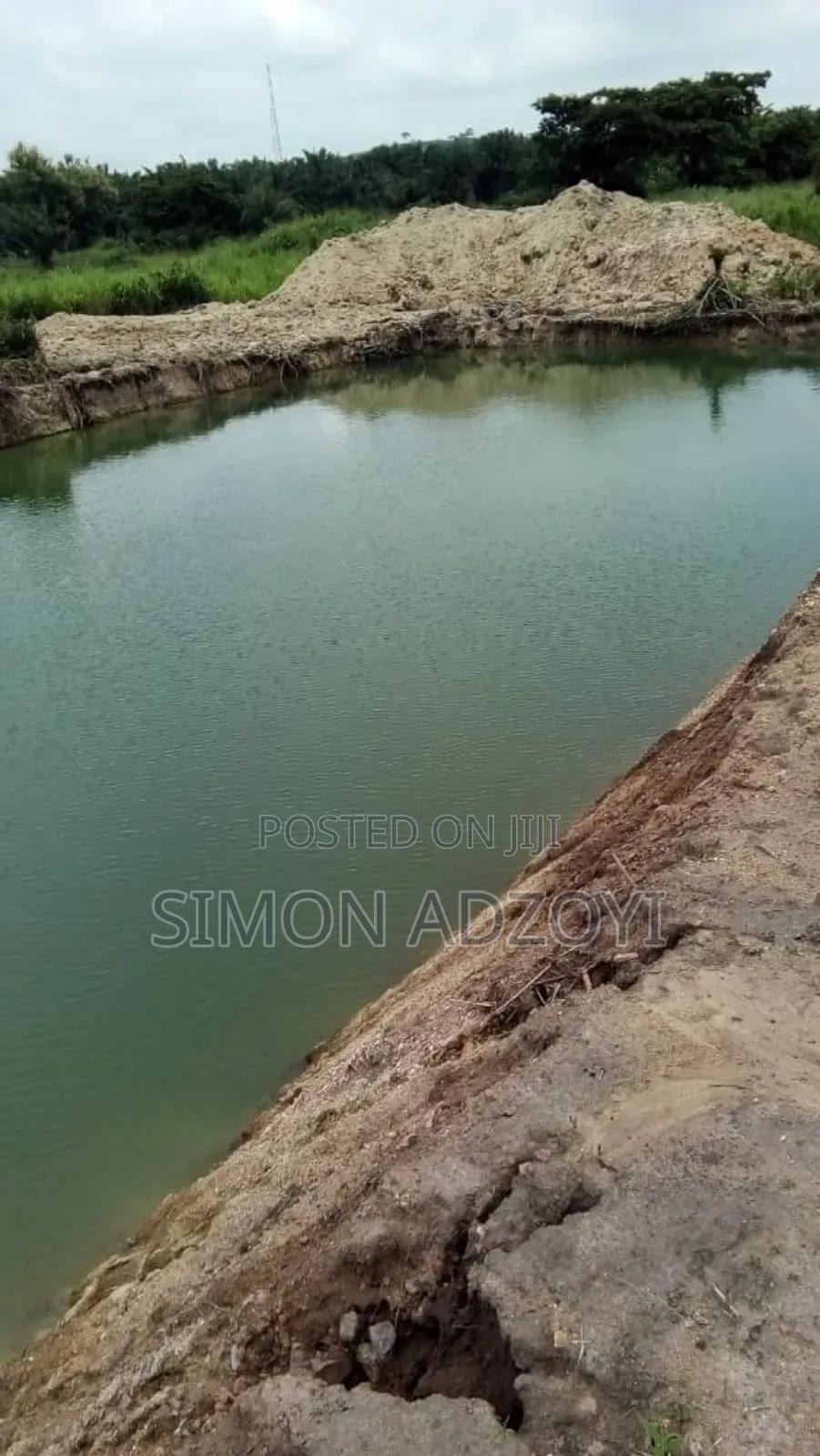 5 Acres of Farm Land for Sale - Land in Eastern Region, Akuapim South, Aburi - Sale