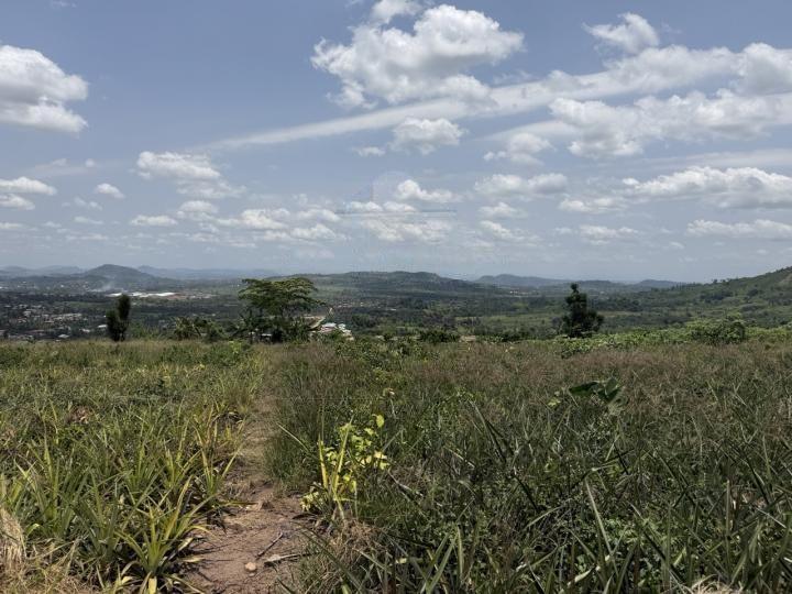 Residential land for sale at Aburi-Amanfrom - Land in Aburi-Amanfrom - Sale