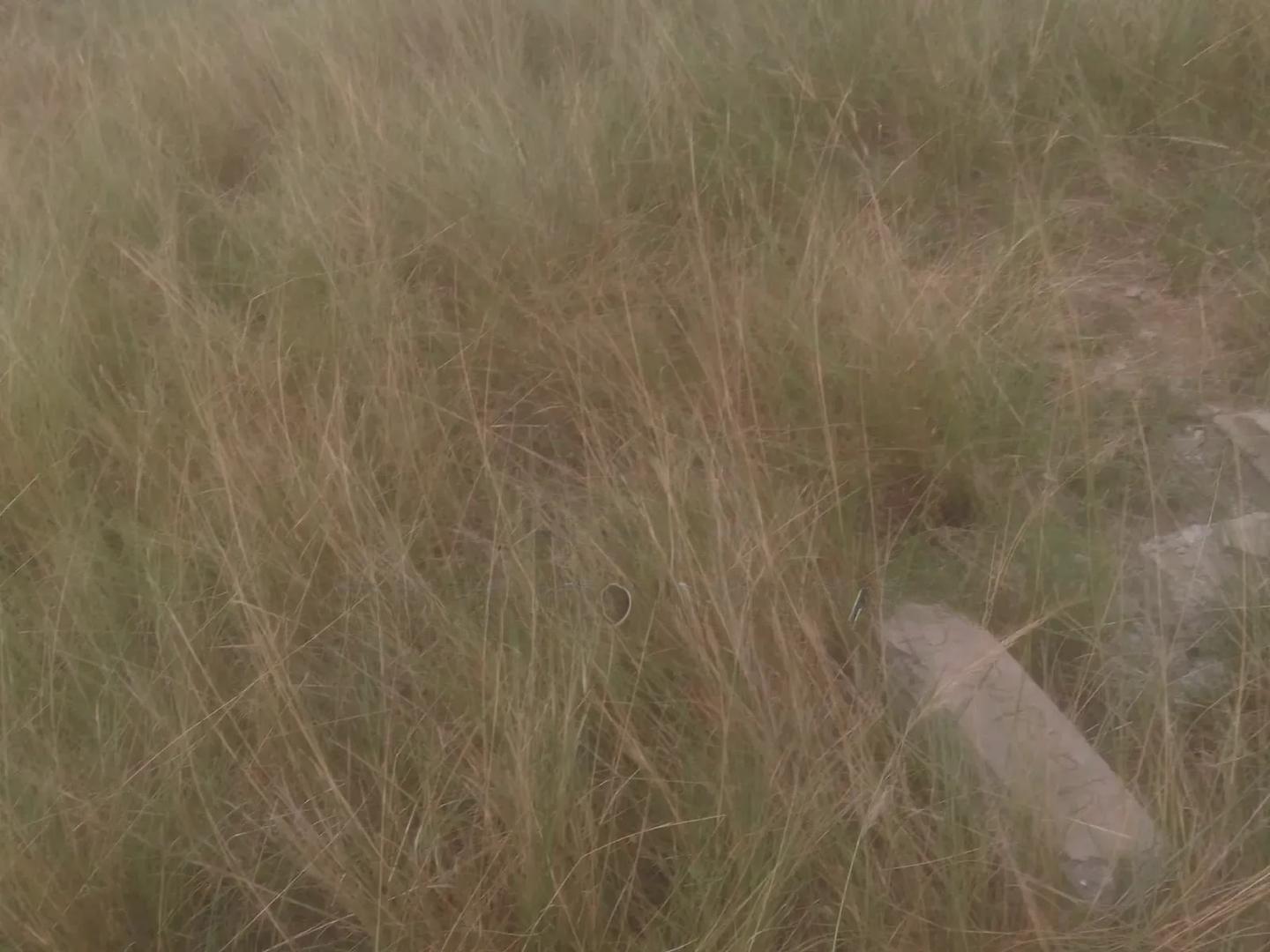 Land at Ayikuma for Sale 100ft by 70ft - Land in Greater Accra, Dodowa, Ghanata Area - Sale
