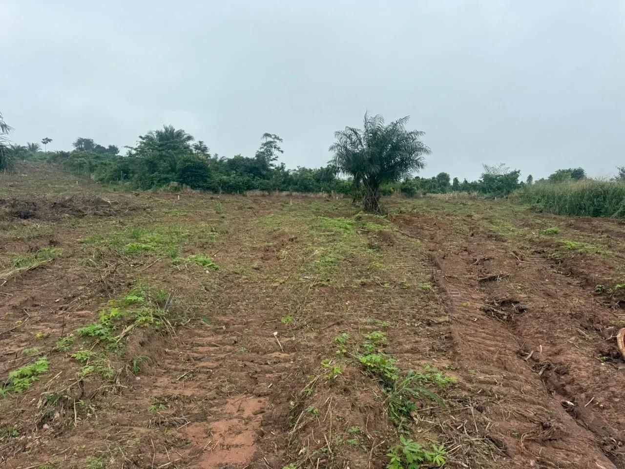 Land Available at Gontei - Land in Eastern Region, Akuapim South, Aburi - Sale