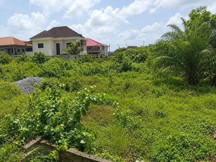 Residential serviced land for sale at Oyarifa - Land in Oyarifa - Sale