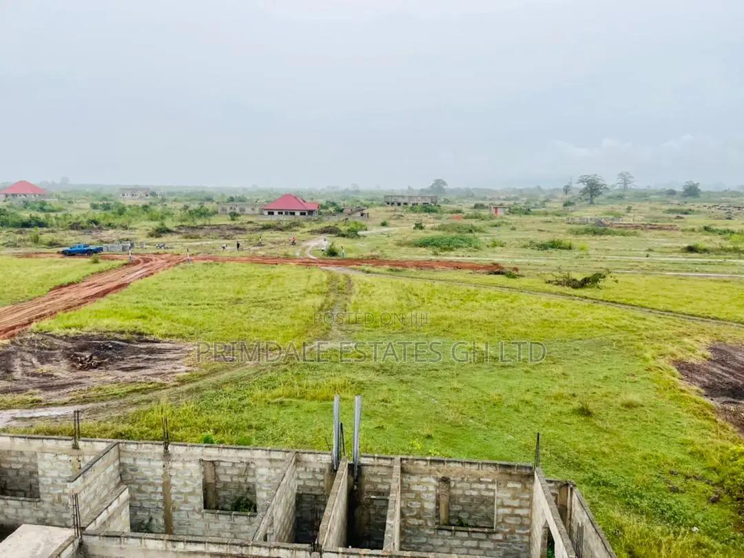 Affordable Devaloping Estate Land Afienya - Land in Greater Accra, Accra Metropolitan - Sale