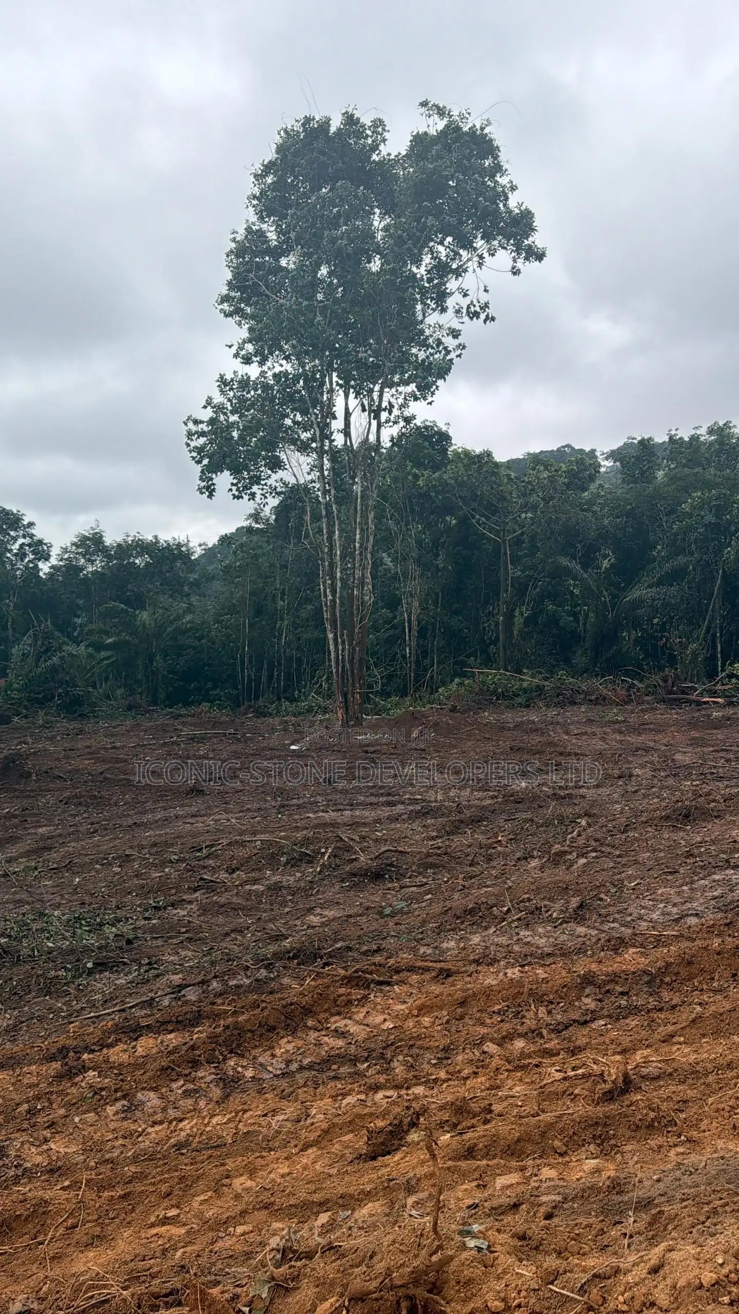 Registered Plots at Aburi for Sale - Land in Eastern Region, Akuapim South, Aburi - Sale