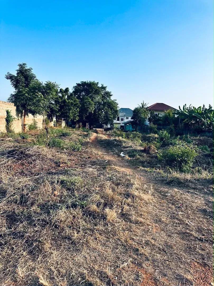 Two of Land for Sale in Oyarifa Focus - Land in Greater Accra, Oyarifa, Ghana Flag - Sale