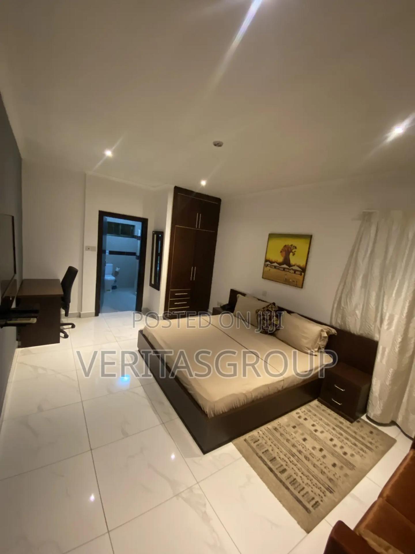 Furnished 1bdrm Apartment in A&C Mall Area for rent - 1 bedroom Commercial in Greater Accra, East Legon, A&C Mall Area - Rent