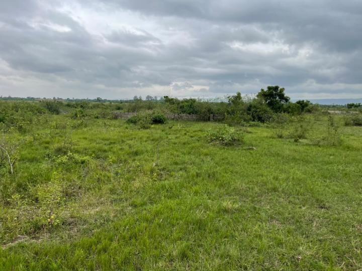 Commercial land for sale at Shai Hills - Land in Shai Hills - Sale