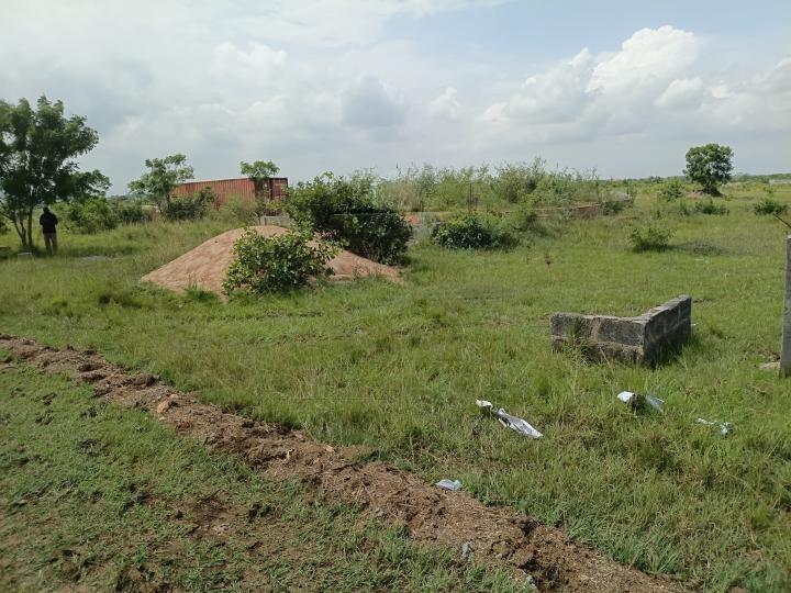 serviced land for sale at Shai Hills - Land in Shai Hills - Sale