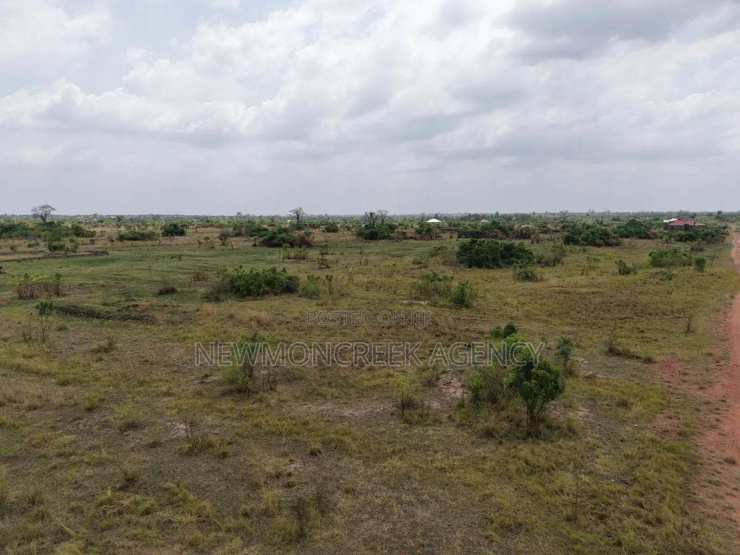 Acres of Land for Sale at Ayikuma Just After Dodowa. - Land in Greater Accra, Dodowa, Ghanata Area - Sale