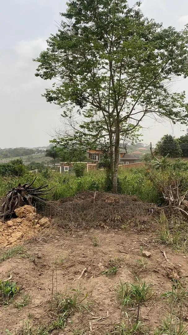 Serviced Plot of Land for Sale at Peduase Lodge - Land in Eastern Region - Sale