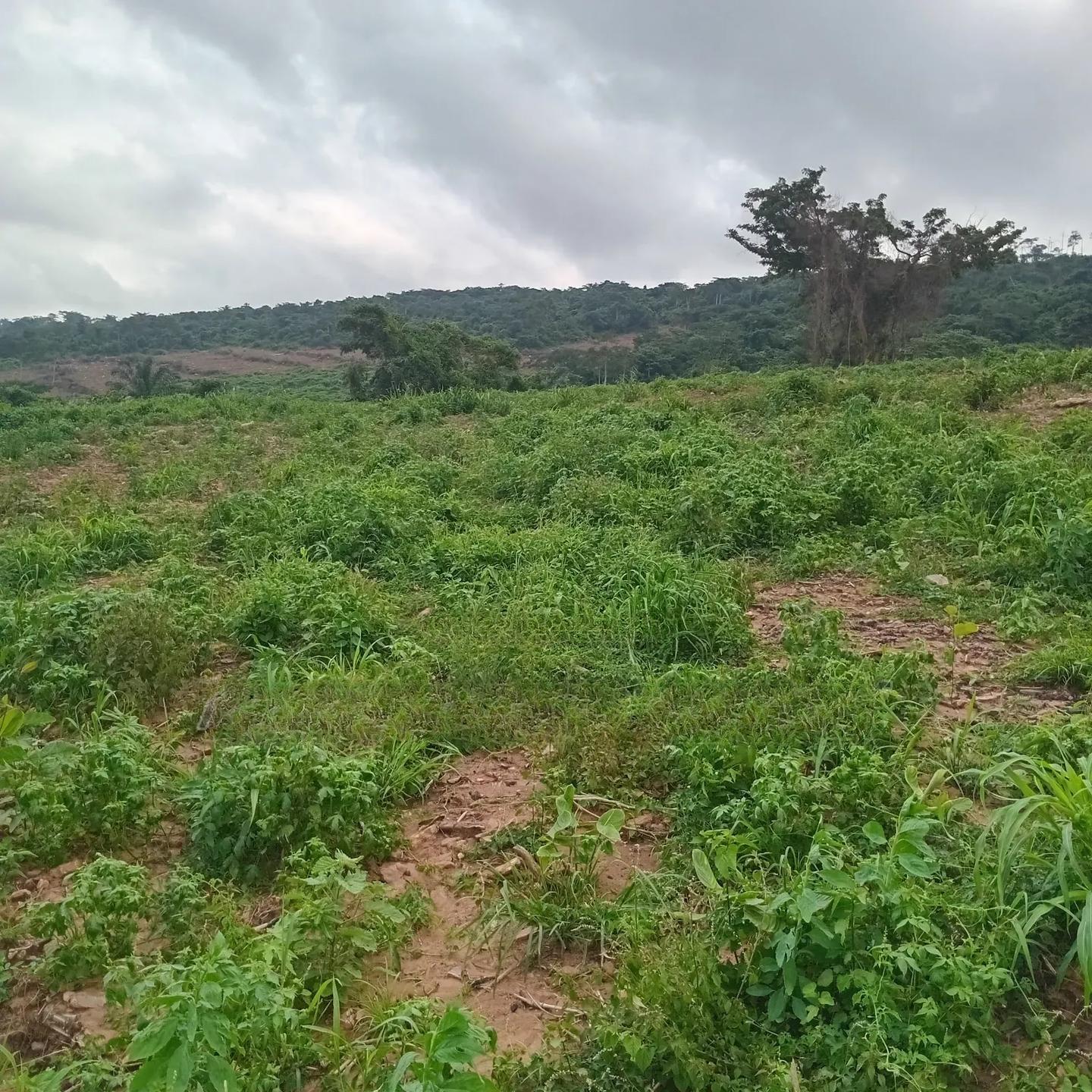 Available Land Aburi Green Hills - Land in Eastern Region, Akuapim South, Aburi - Sale