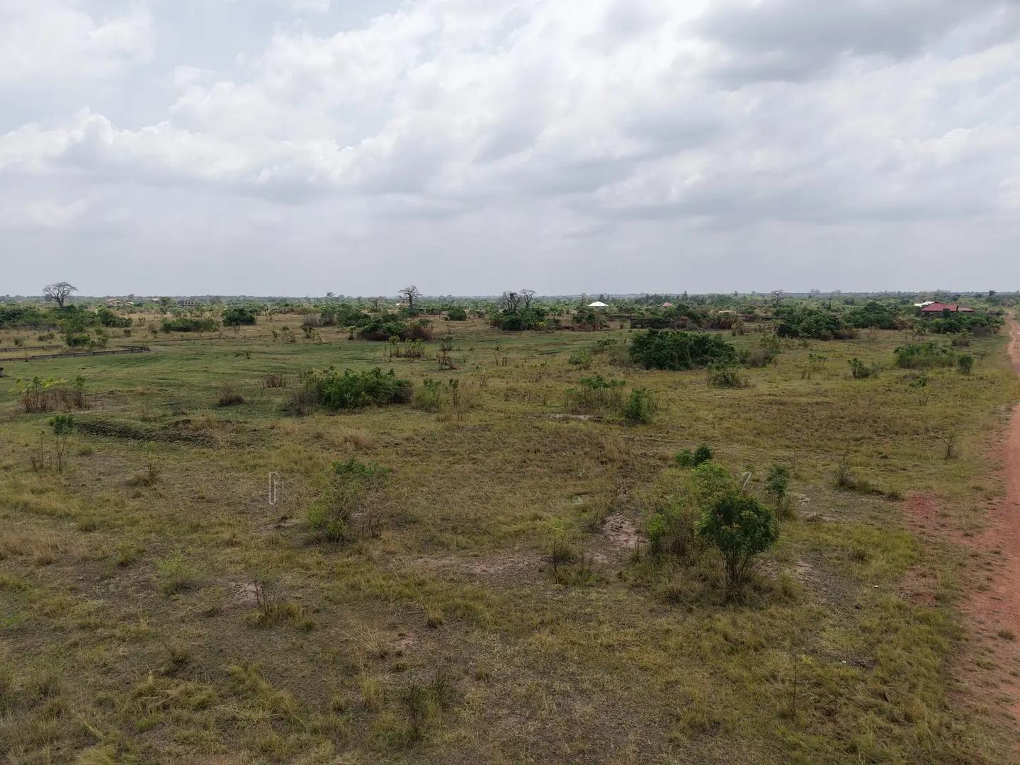 Acres of Land for Sale at Ayikuma Just After Dodowa. - Land in Greater Accra, Dodowa, Ghanata Area - Sale