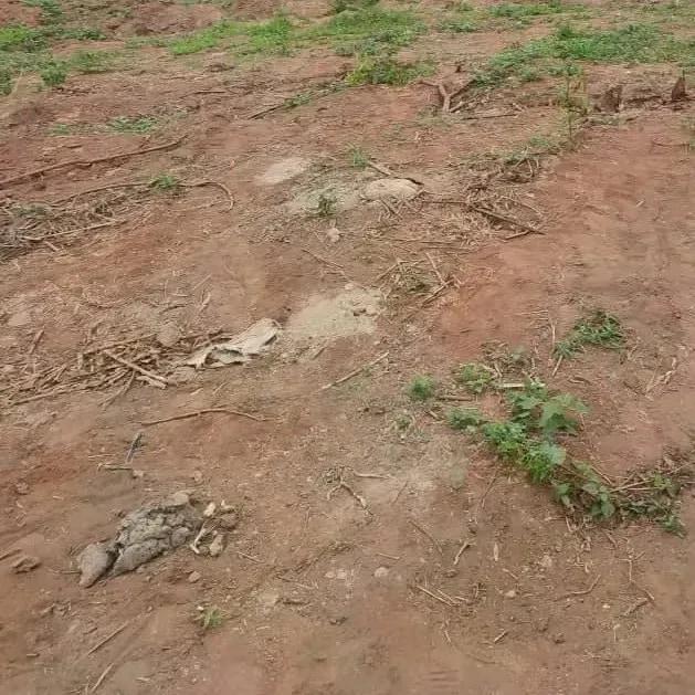Available Land at Oyarifa - Land in Greater Accra, Oyarifa, Ghana Flag - Sale