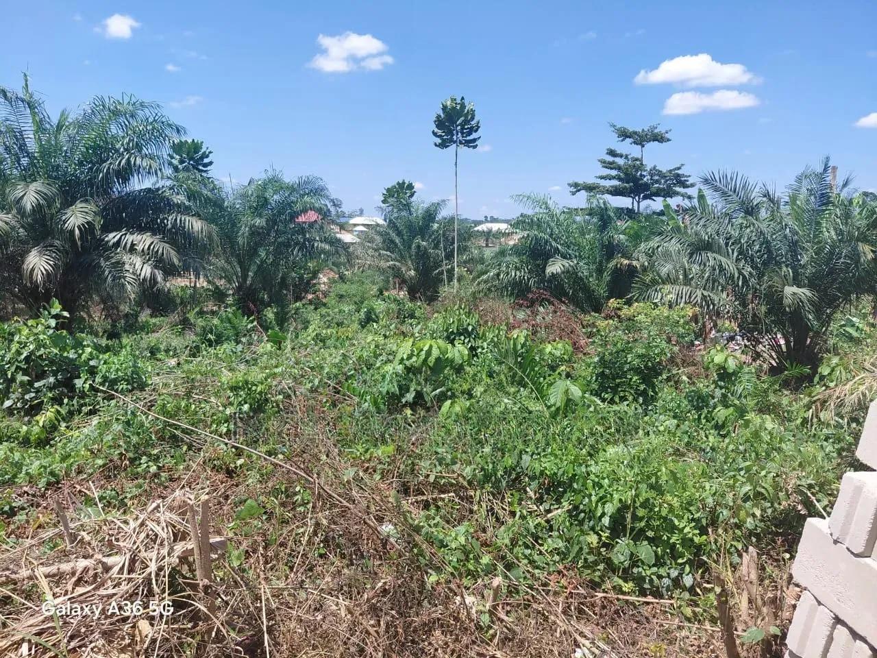 8 Plots of Land for Sale in Assin Foso Township - Land in Central Region, Assin North Municipal - Sale