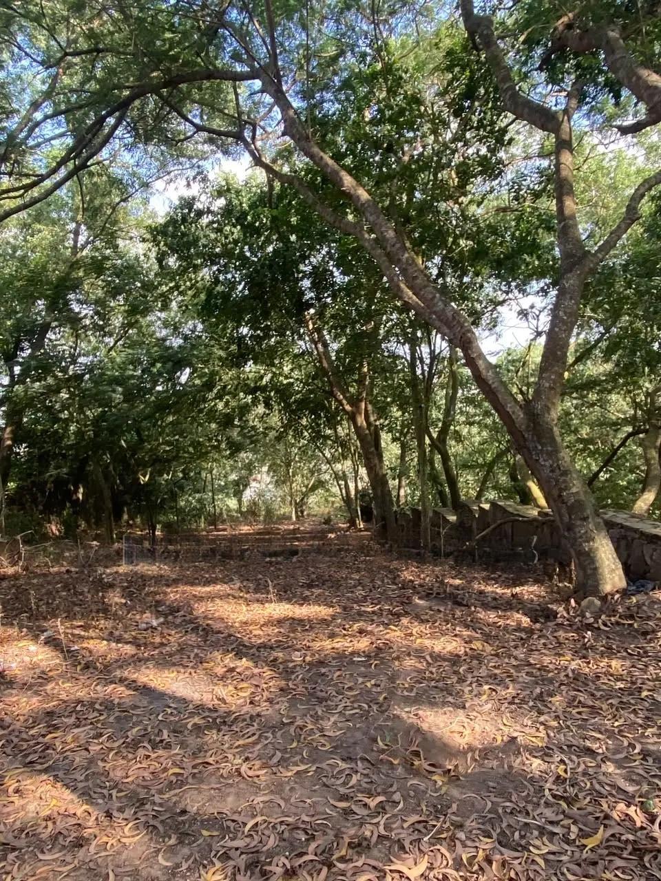 6 Plots of Land at Peduase Around Hephzibah Prayer Retreat - Land in Eastern Region, Akuapim South, Aburi - Sale
