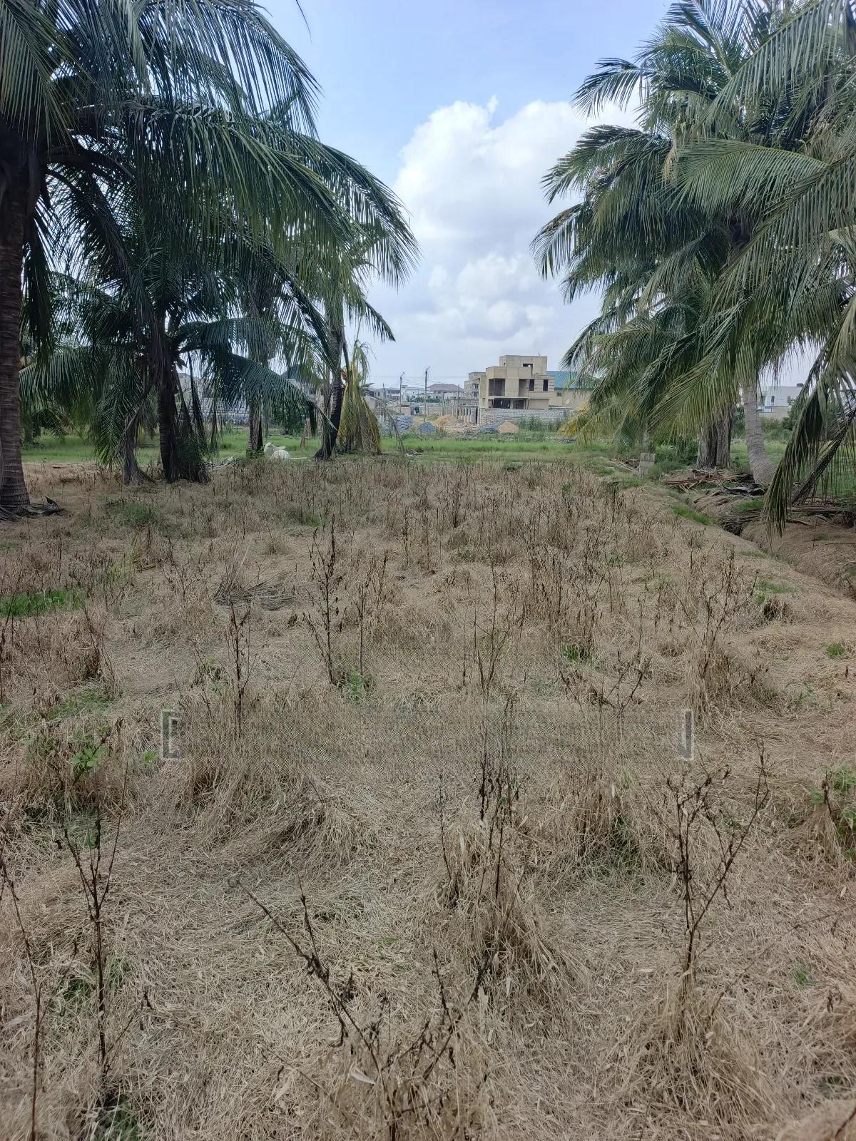 A Plot of Land at Tsopoli - Land in Greater Accra, Tema Metropolitan - Sale