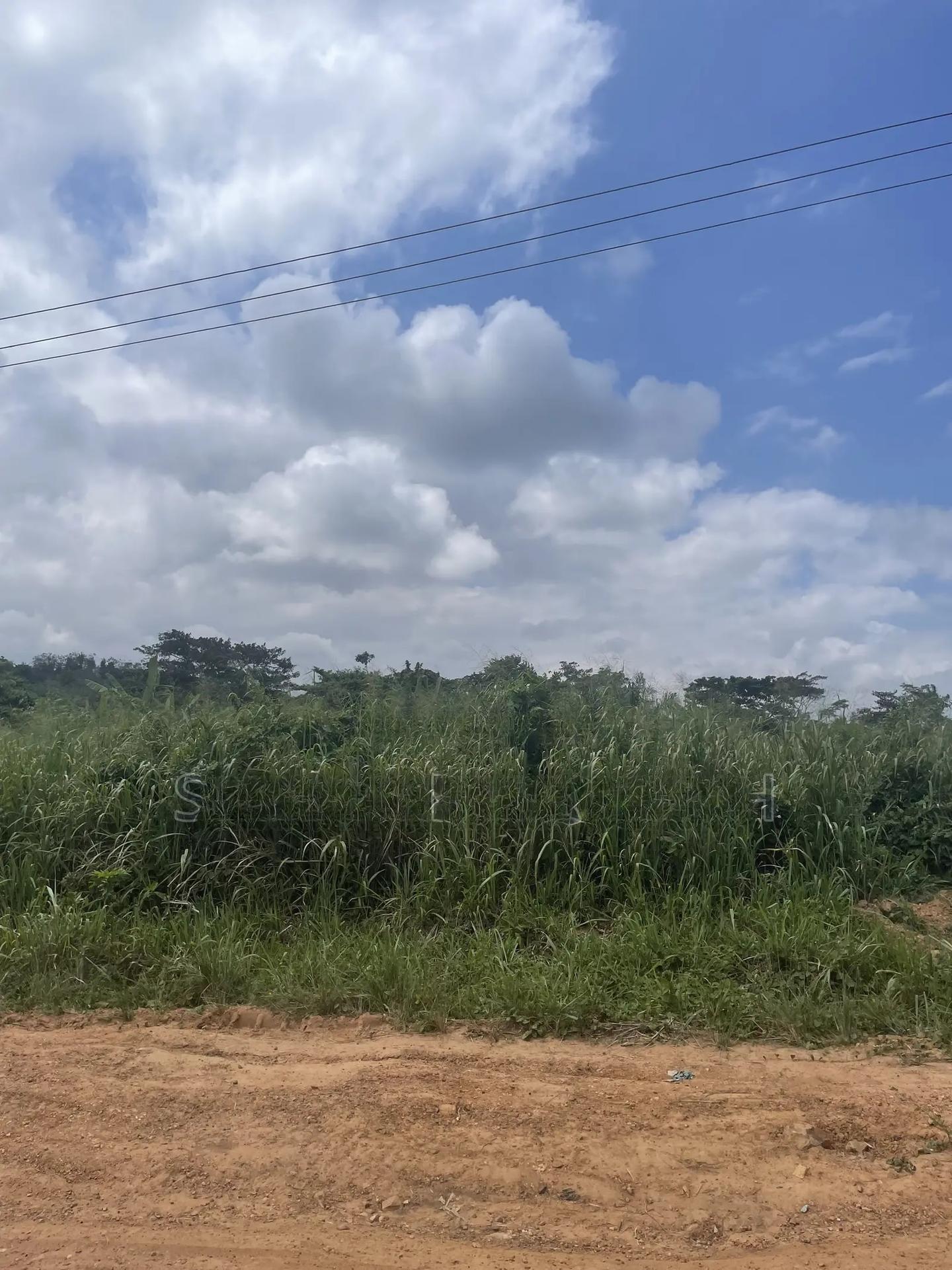 Land for Sale - Land in Eastern Region, East Akim Municipal - Sale
