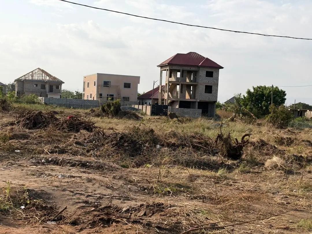 Land in Afienya for Sale (Investment Opportunity) - Land in Greater Accra, Ningo-Prampram, Afienya - Sale