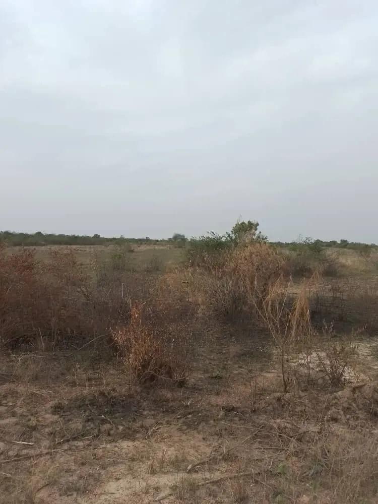 Farm Land for Sale - Land in Greater Accra, Accra Metropolitan - Sale