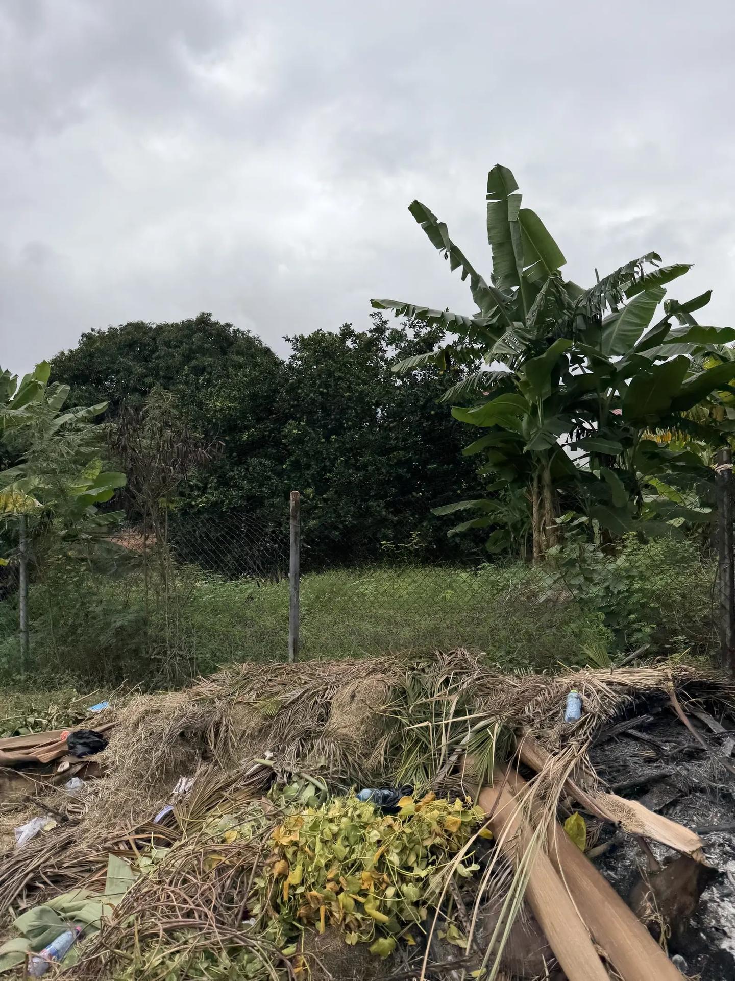 Prime Residential Plot for Sale – Danyame (Champion Road) - Land in Ashanti, Kumasi Metropolitan - Sale