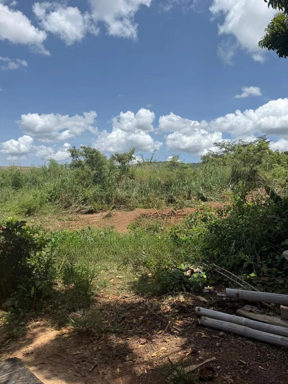 12 Plots Roadside Land for Sale at Oyarifa - Land in Greater Accra, Accra Metropolitan - Sale