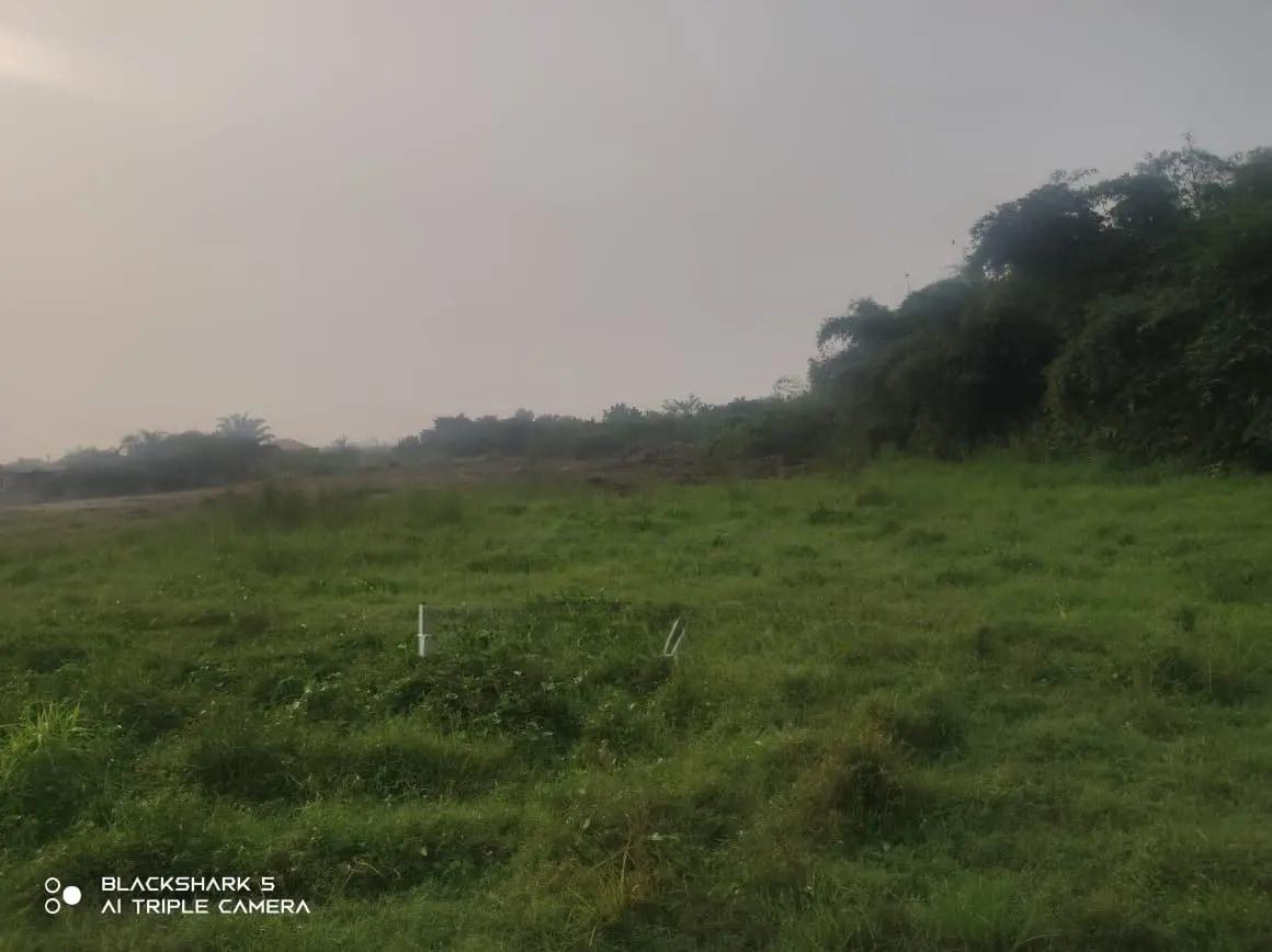 Registered Title 5 Archers for Land for Sale - Land in Greater Accra, Ga West Municipal, Amasaman - Sale
