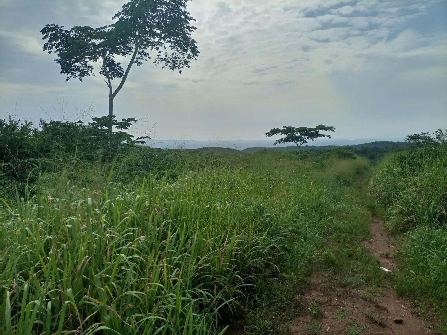 Farmland for Sale - Land in Eastern Region, Akuapim South, Aburi - Sale