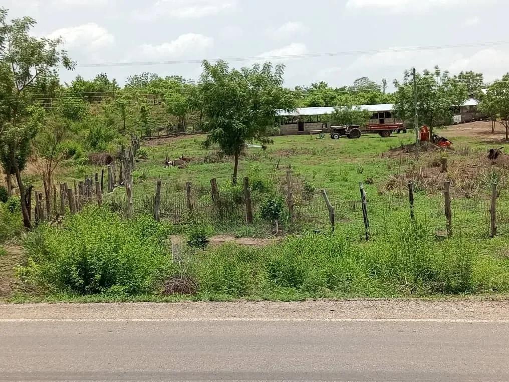 Poultry/ Goat/ Piggery - Commercial in Ashanti, Asante Akim North - Sale