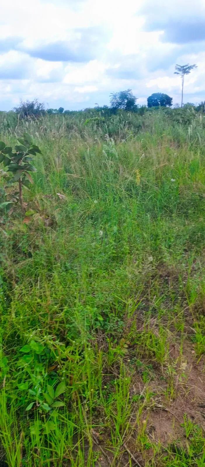 Land for Sale - Land in Volta Region, Ho Municipal - Sale