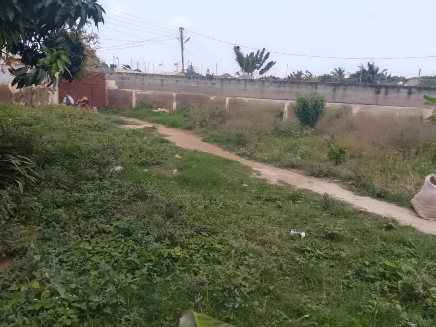 Two Plots at Ofankor for Sale - Land in Greater Accra, Ofankor - Sale
