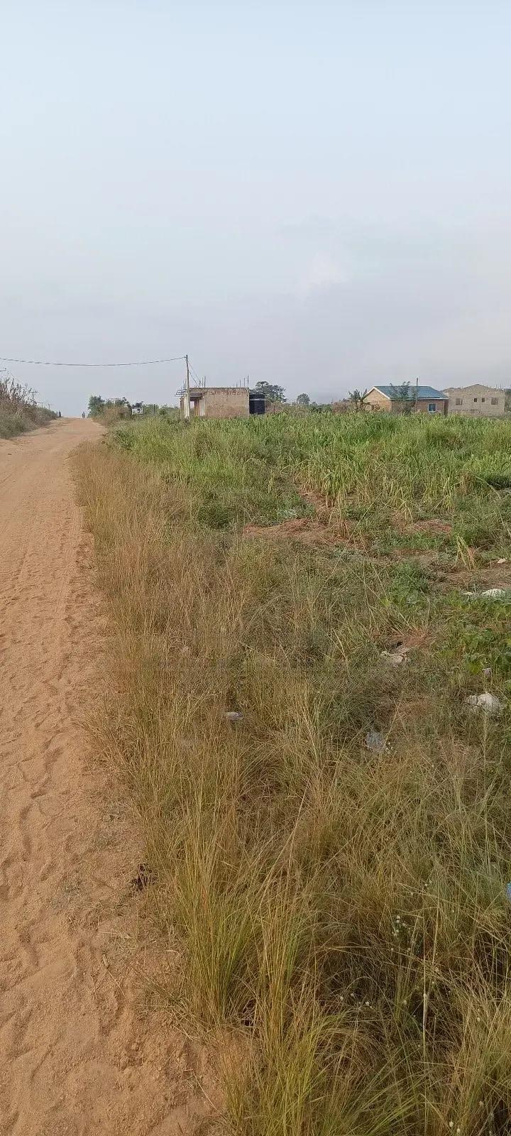 Two Plot of Land Amasaman Obom - Land in Greater Accra, Ga West Municipal, Amasaman - Sale