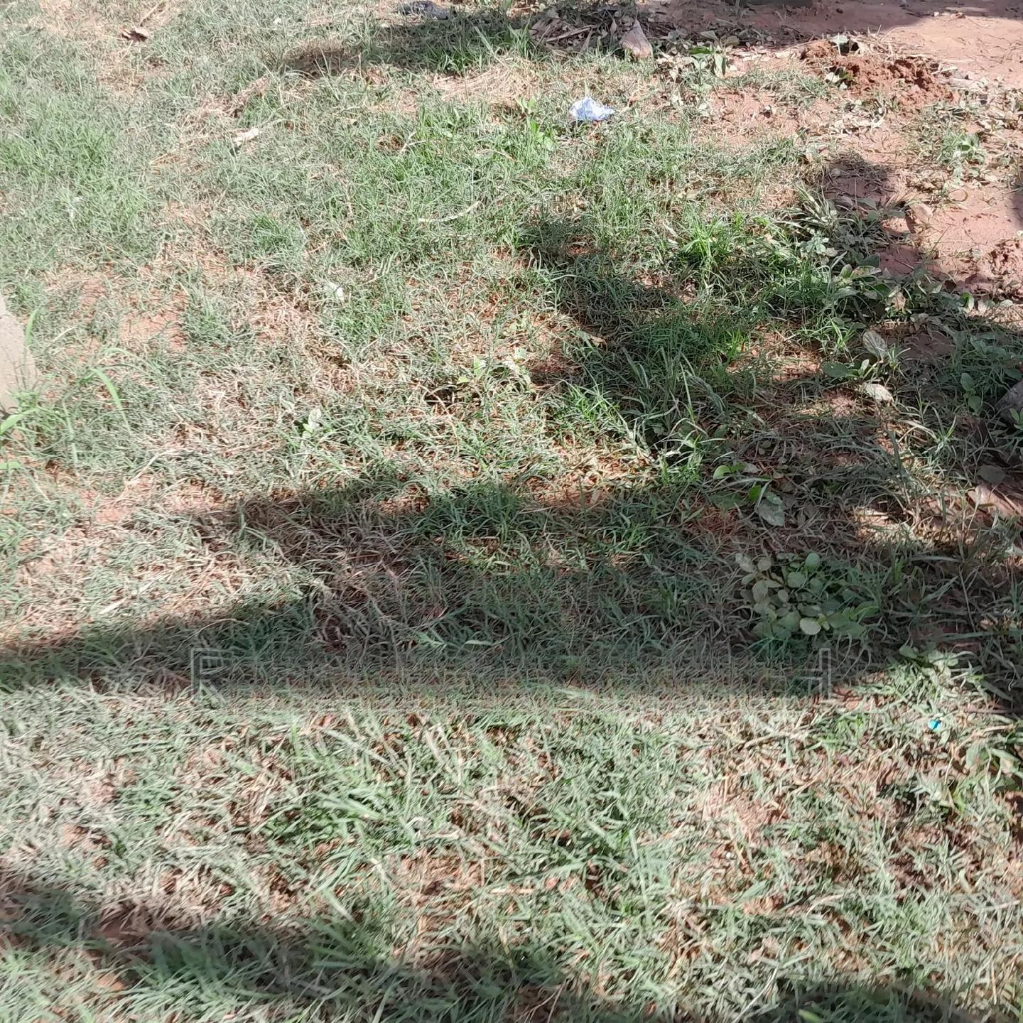 Half Plot for Sale at Ntankoful - Land in Western Region, Takoradi - Sale