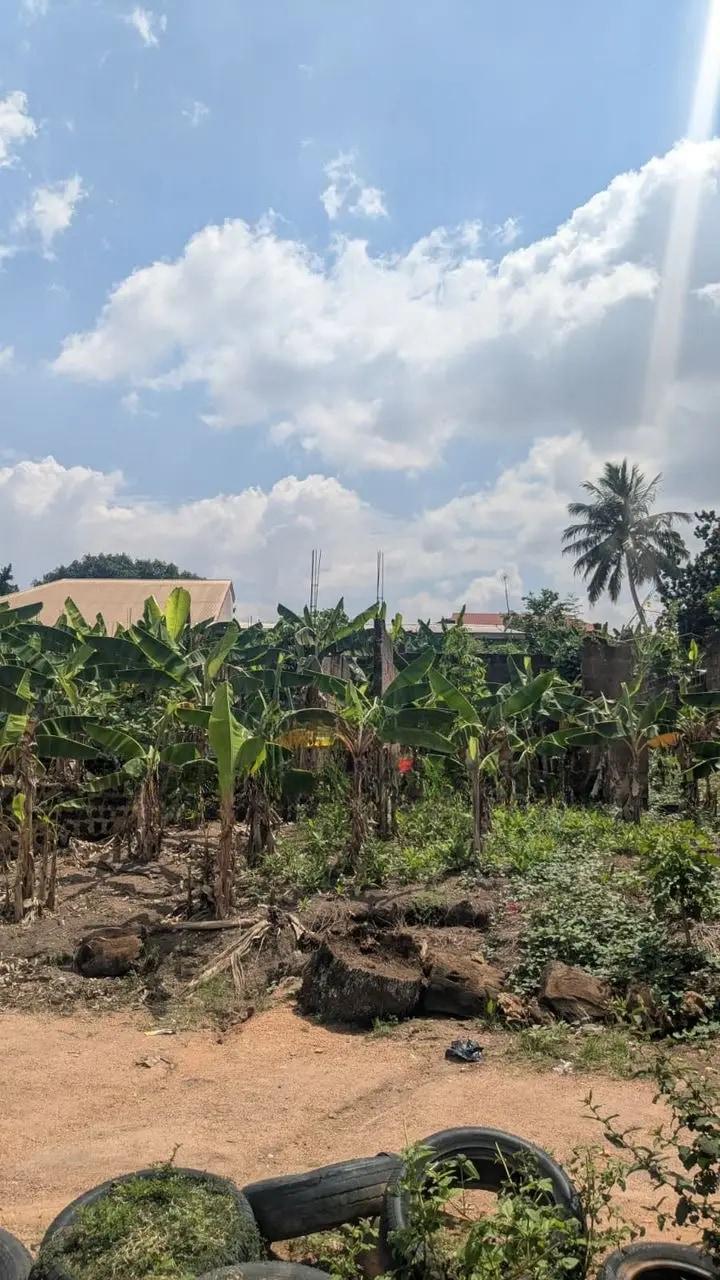 Borteyman: 2 Residential Plots for Sale - Land in Greater Accra, Accra Metropolitan - Sale