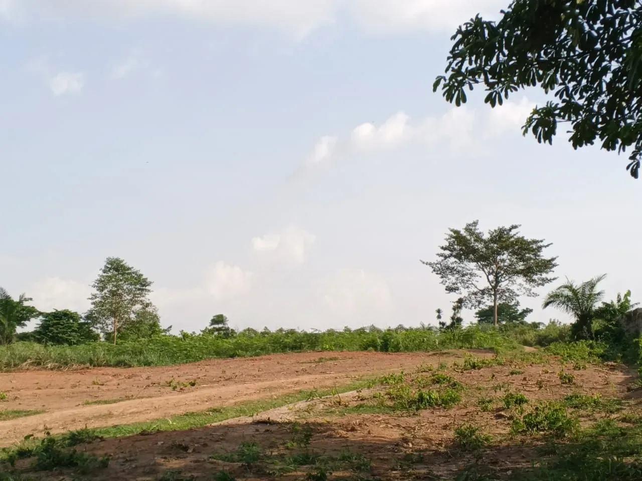 10 Plot for Sale Offinso Namong - Land in Ashanti, Kumasi Metropolitan - Sale