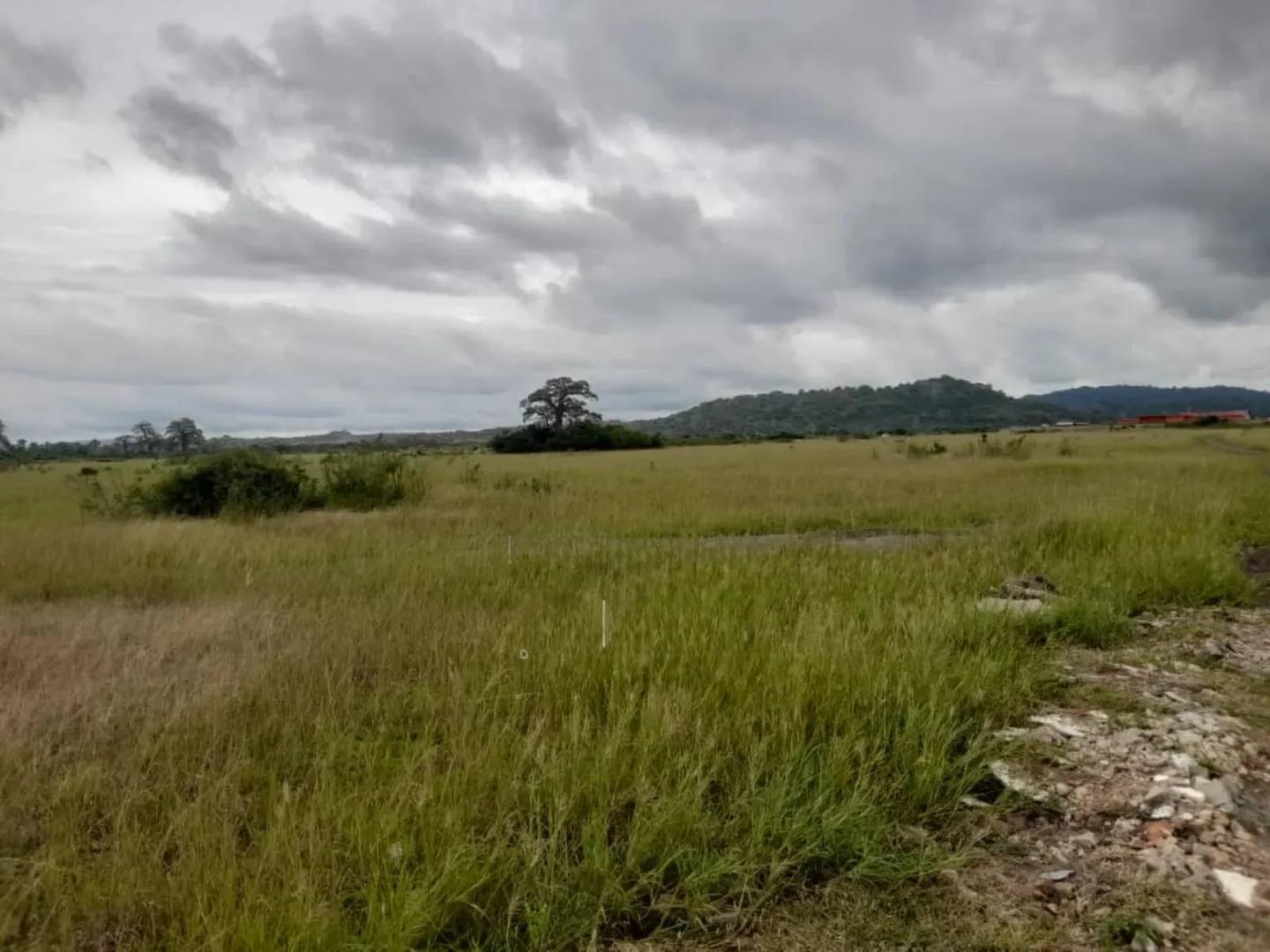Plots of Land - Land in Greater Accra, Dodowa - Sale