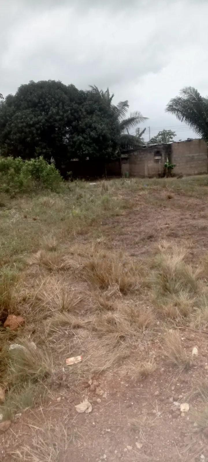 2 Plot of Land - Land in Central Region, Awutu Senya East Municipal - Sale