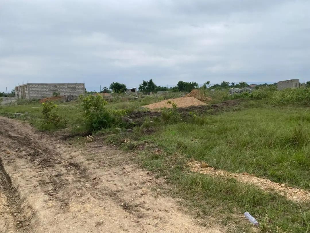 Opportunity You Can’t Miss – Shai Hills After Afienya Dedenya - Land in Greater Accra, Accra Metropolitan - Sale
