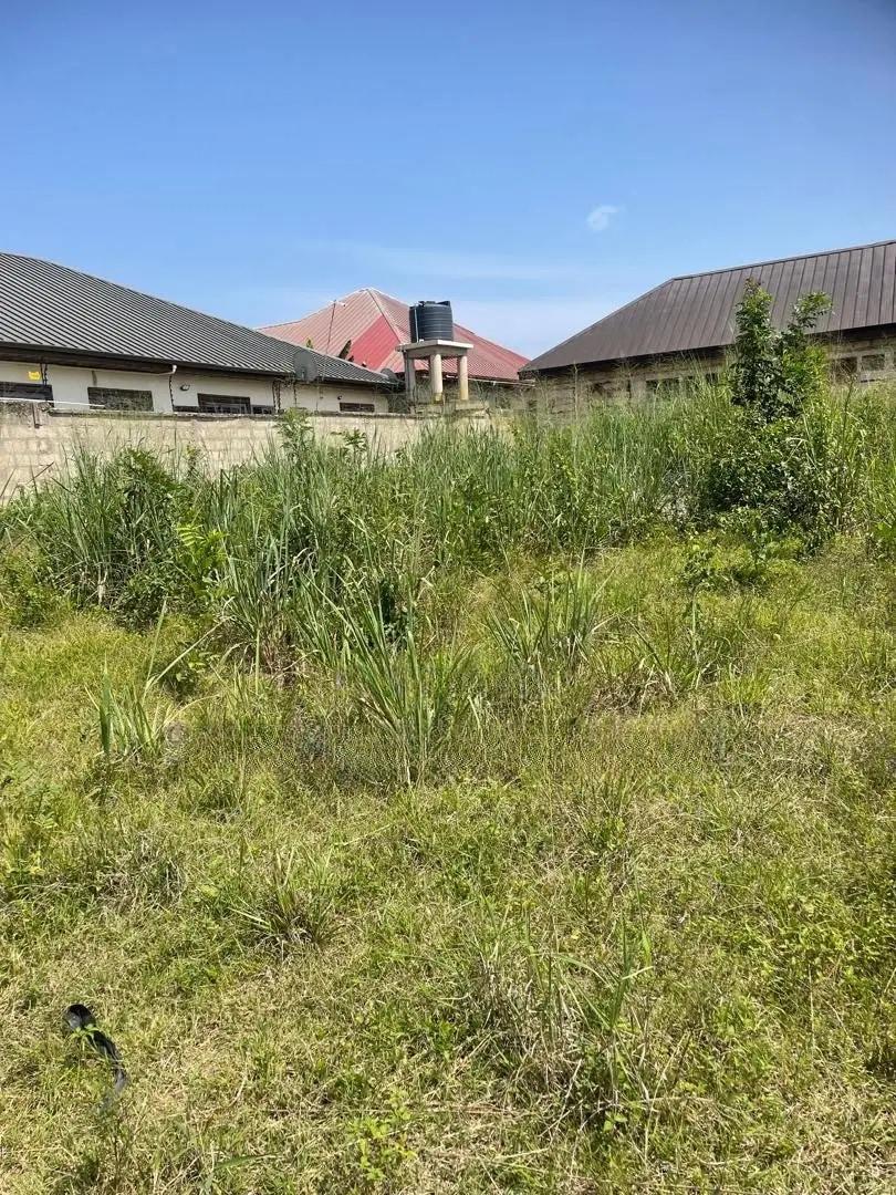A Residential Plot of Size 80 by 100 at Donyina for Sale. - Land in Ashanti, Ejisu-Juaben Municipal - Sale