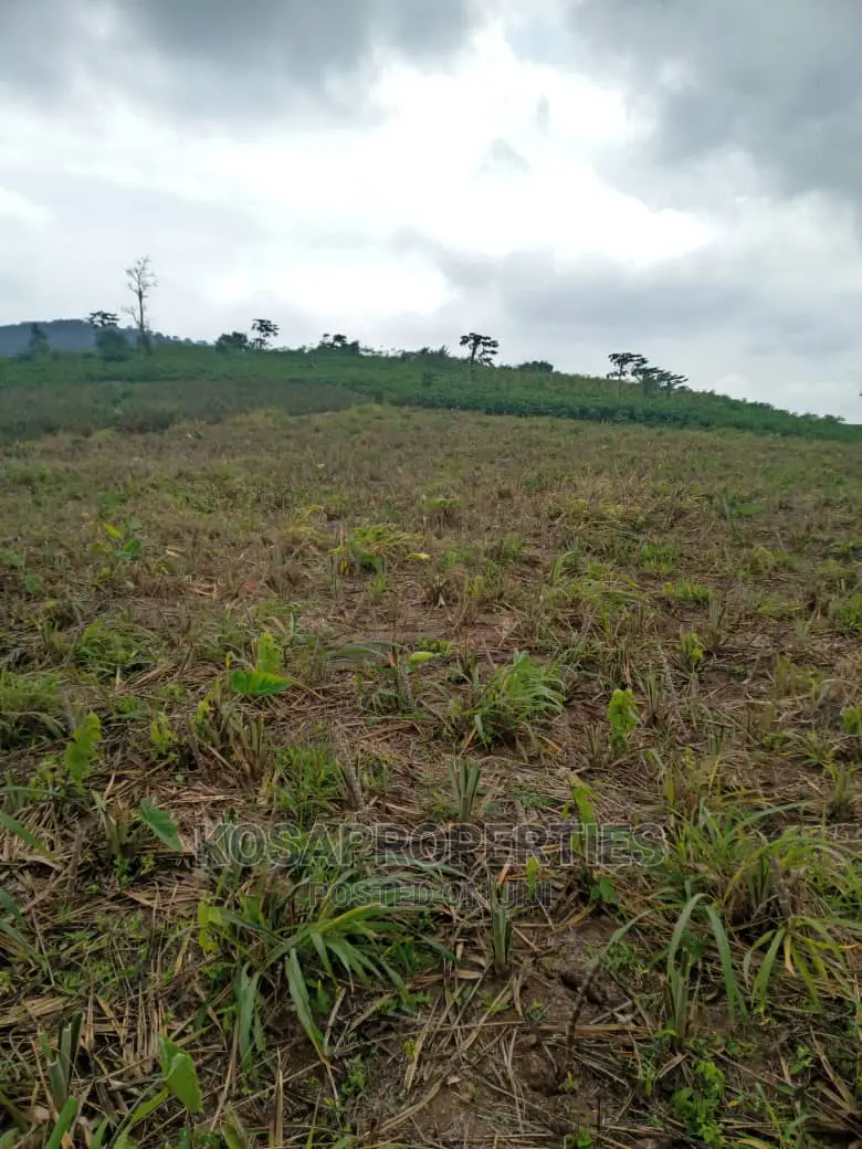 Service Land for Sale at Kasoa Kweikrom - Land in Greater Accra, Kasoa - Sale