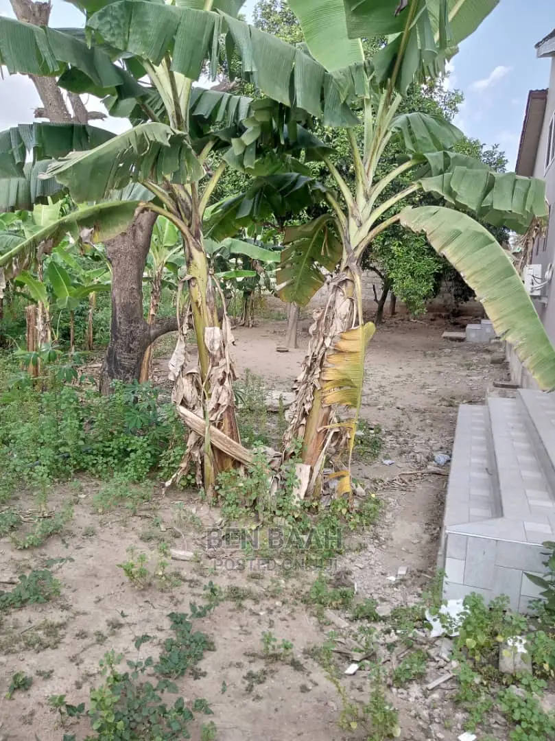 A Plot of Land at Agbogba for Sale Title 600,000 - Land in Greater Accra, Agbogba - Sale