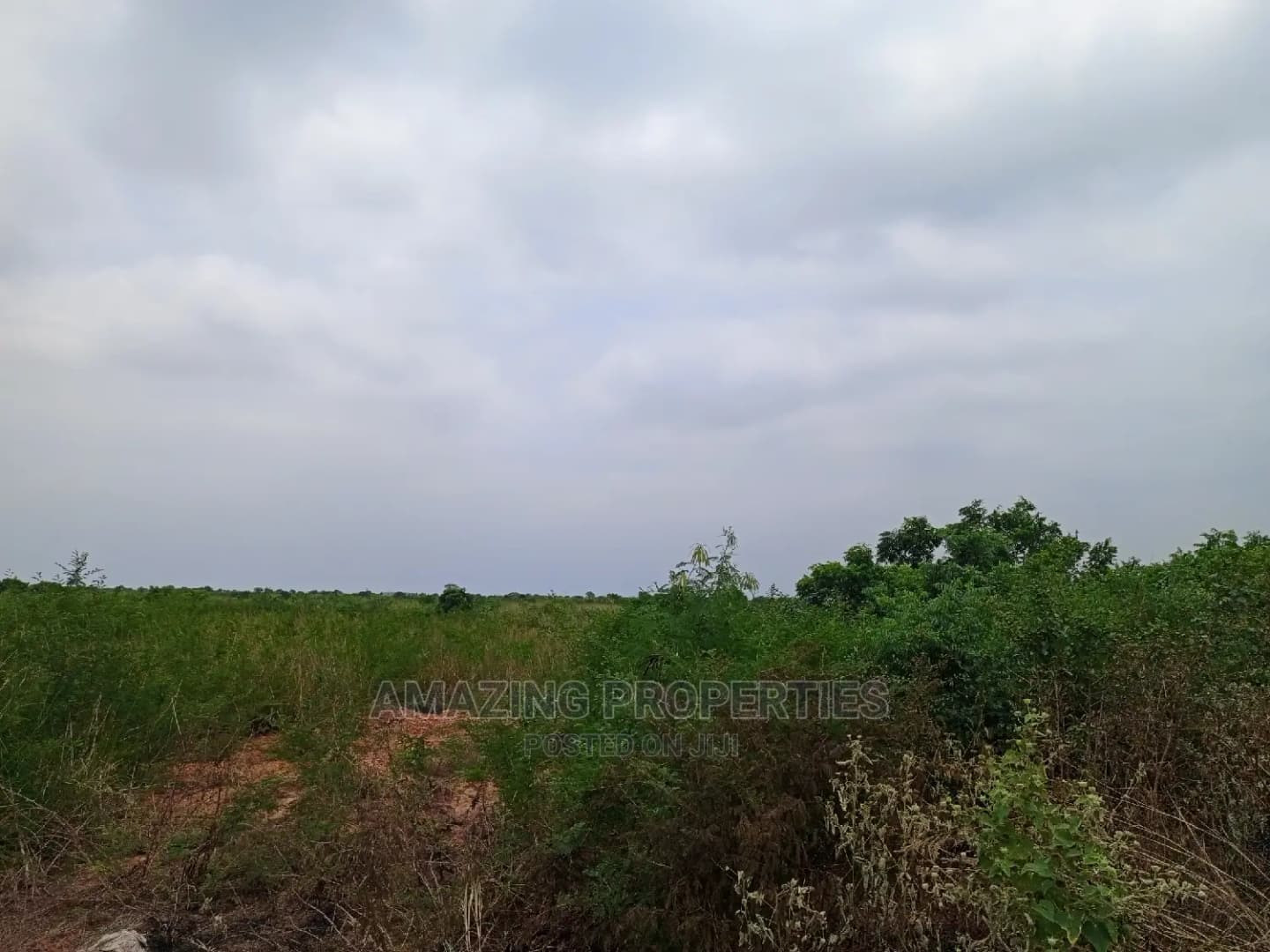 Shai Hills - Land in Greater Accra, Tema Metropolitan - Sale