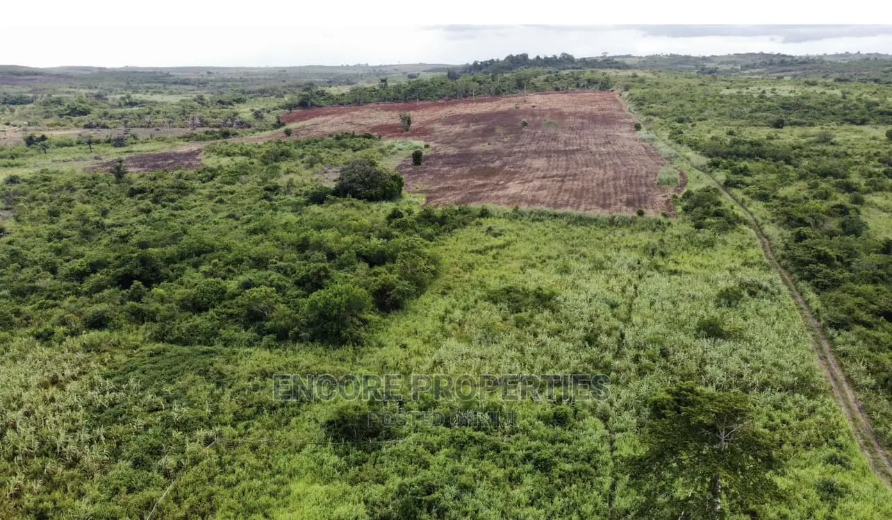 100 Acres of Farm Land Now Selling at Winneba - Land in Central Region, Awutu Senya East Municipal - Sale
