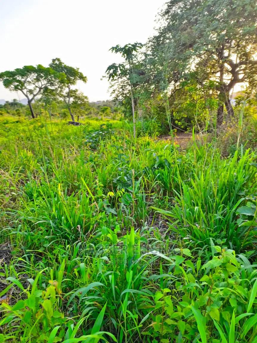 Ho Farmlamds for Sale - Land in Volta Region, Ho Municipal - Sale