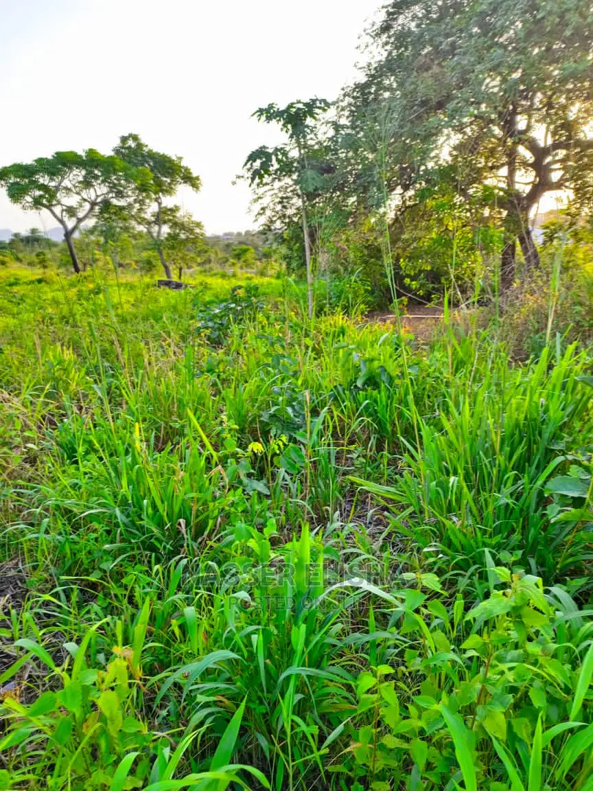 Ho Farmlamds for Sale - Land in Volta Region, Ho Municipal - Sale