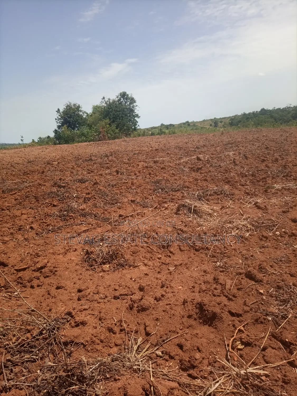 Alpha Properties Estate Land for Sale at Kasoa Buduatta - Land in Central Region, Gomoa East - Sale