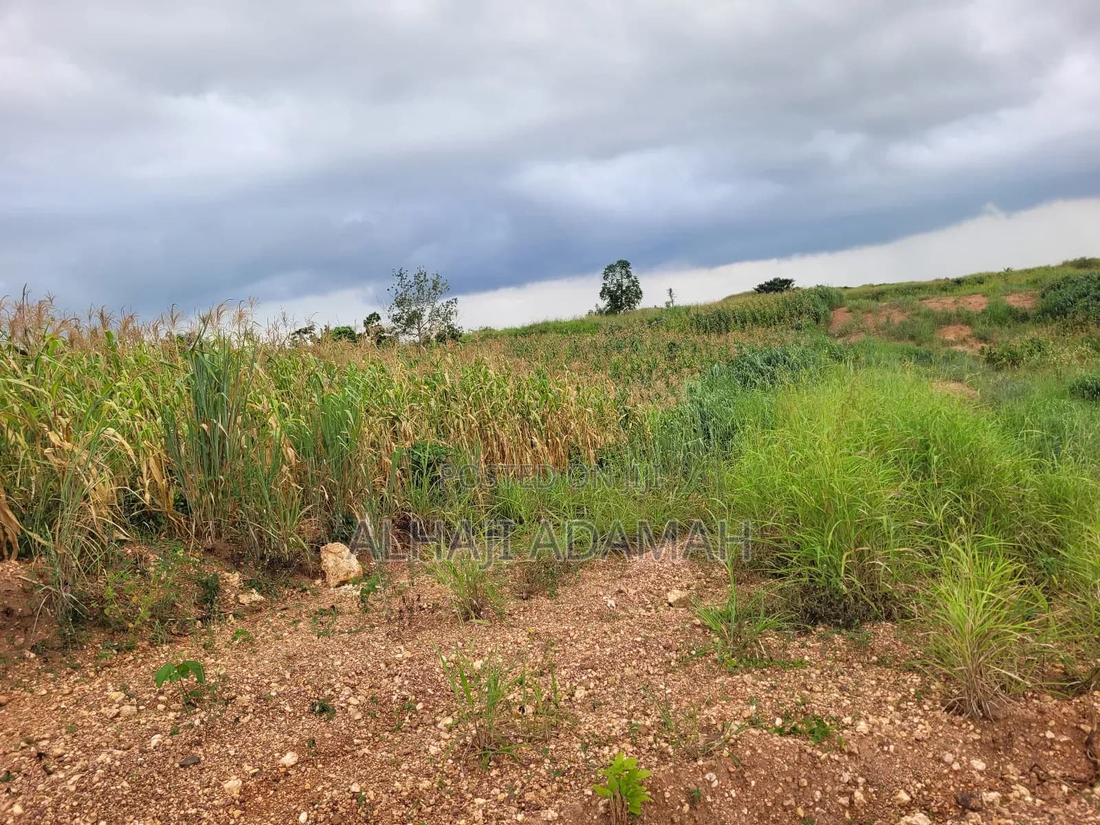 Plot of Land at Apemanim Kokoben - Land in Ashanti, Atwima Kwanwoma - Sale