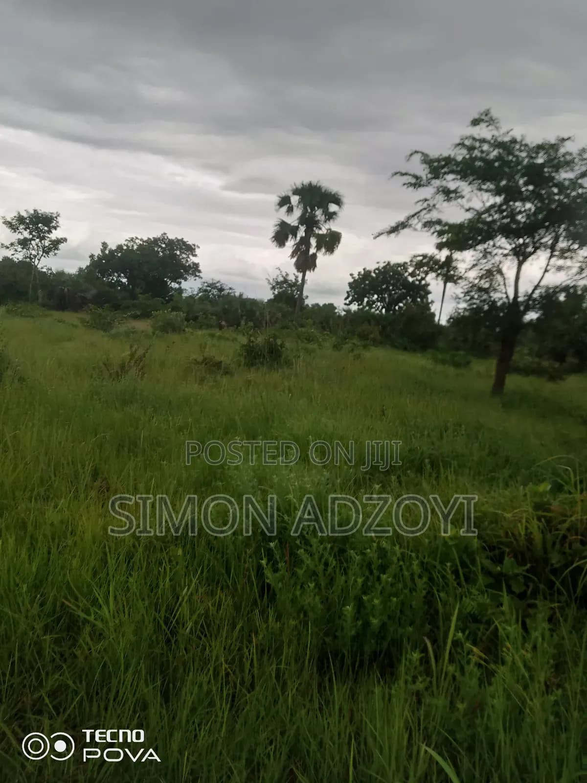 20,000+ Acres Farm Land Available For - Land in Eastern Region, Akuapim North - Sale