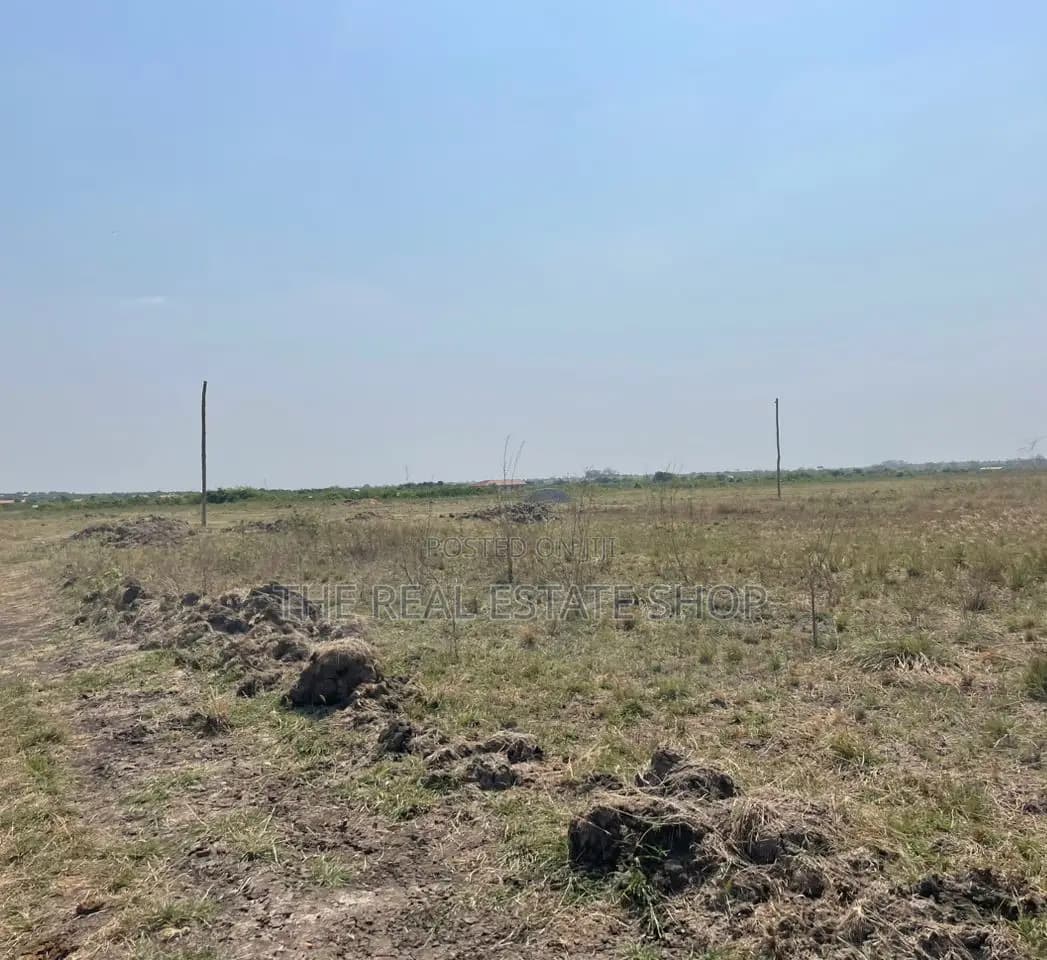 Massive Price Reduction Offers on Half Plots at Dahwenya - Land in Greater Accra, Tema Metropolitan - Sale