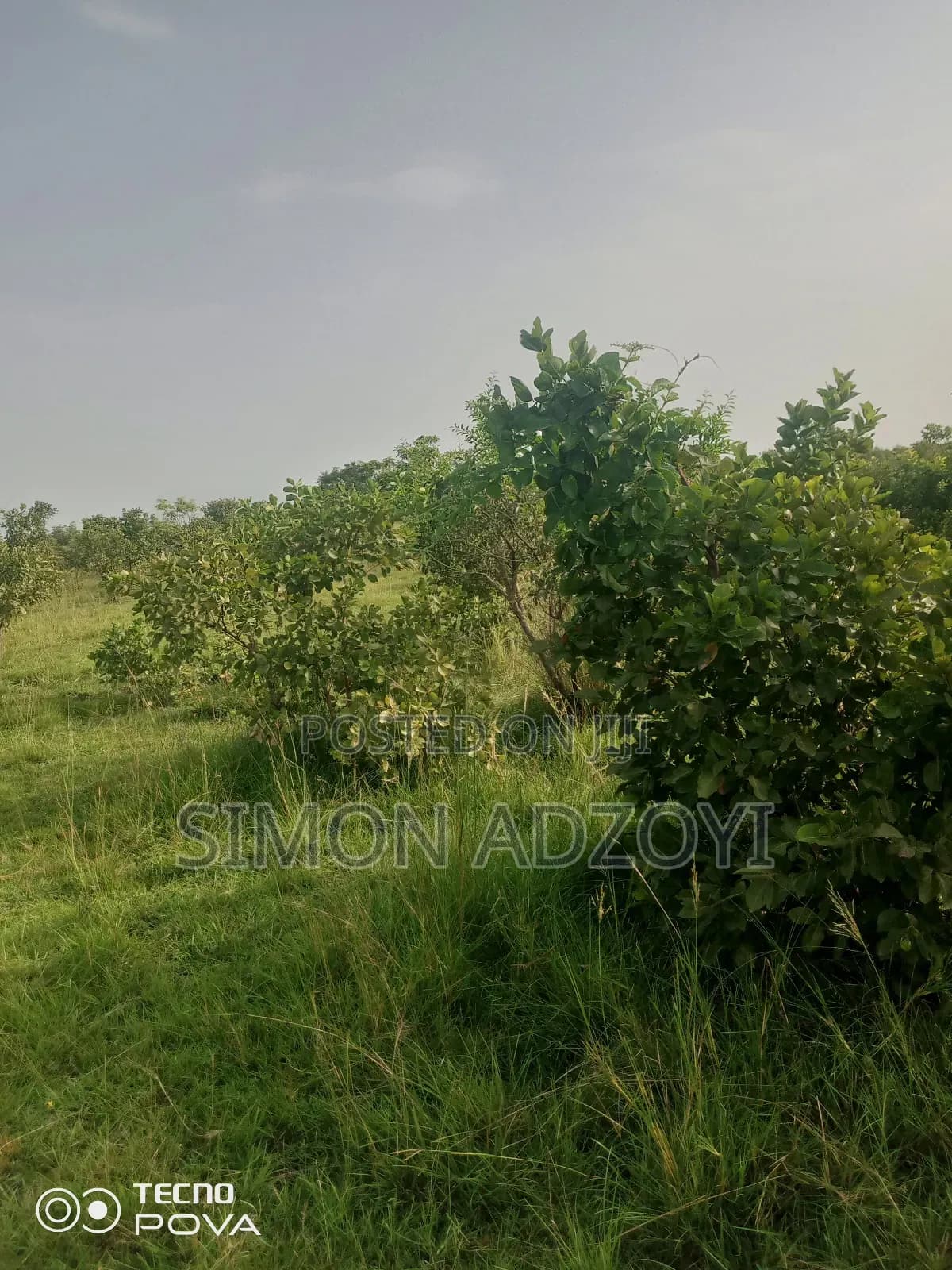 10,000 Acres Farm Land for Sale - Land in Central Region, Gomoa East - Sale