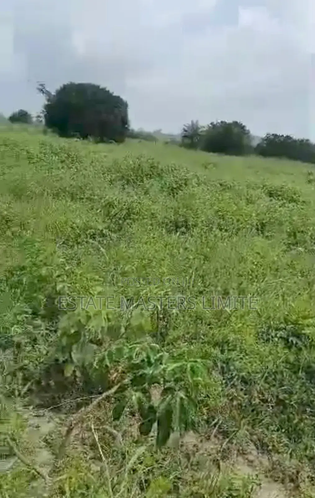 Hurray! Enjoy 10% Discount on Our Lands at Dominase - Land in Central Region, Gomoa East - Sale