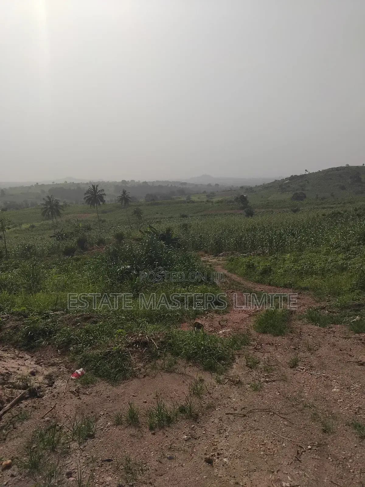 Environmental Friendly Lands for Sale at Dominase - Land in Central Region, Gomoa East - Sale